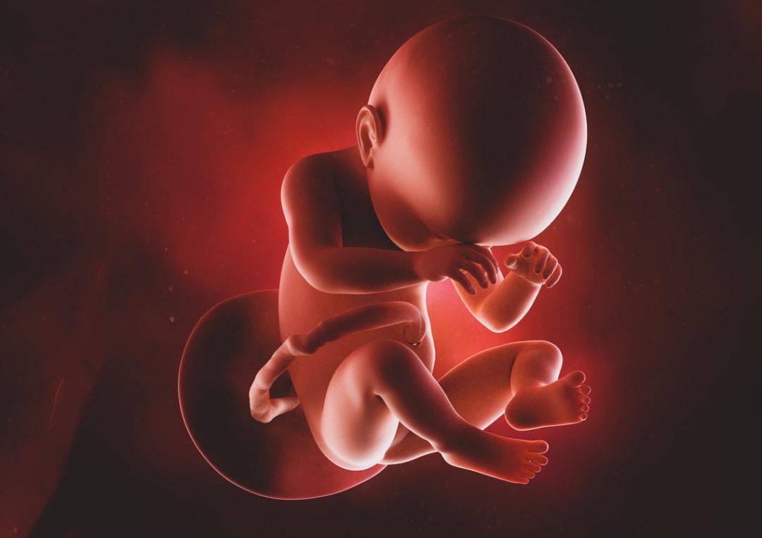 Are Babies Spinal Cords Fully Developed Upon Birth?