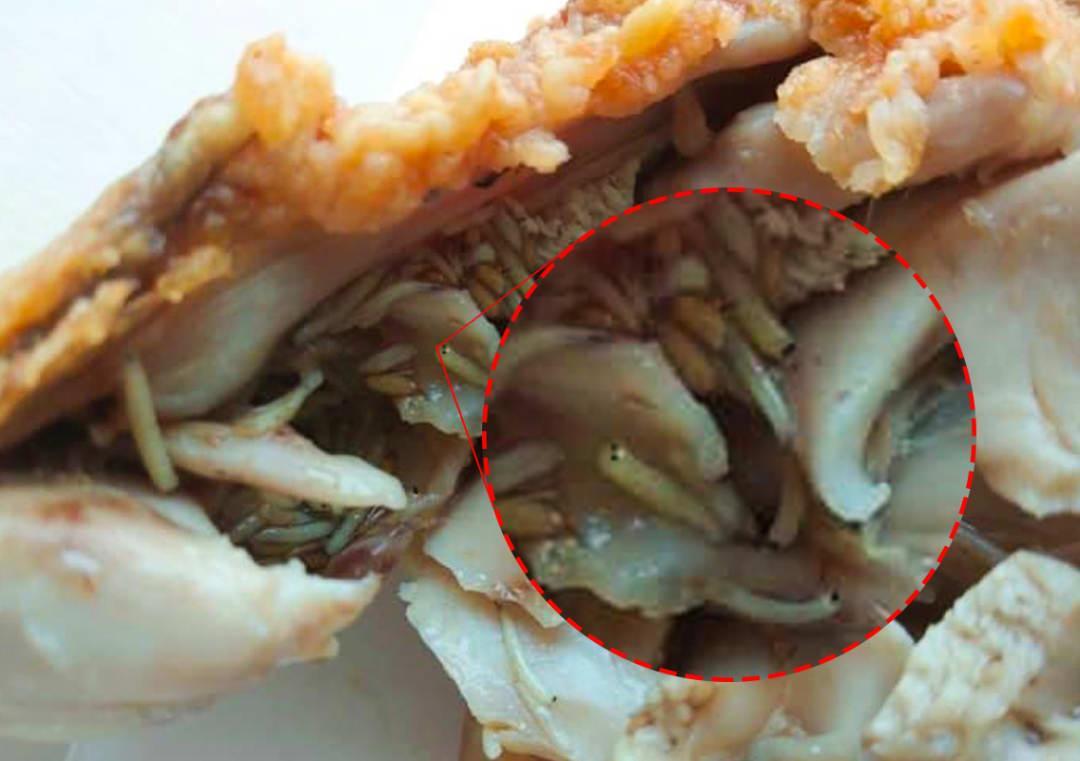 Mumbai man finds maggots in KFC chicken, company denies | Business News