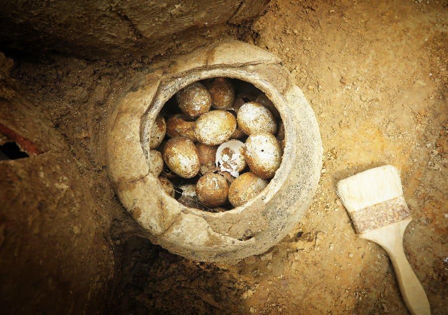 2,500yearold jar of eggs discovered in a tomb in China