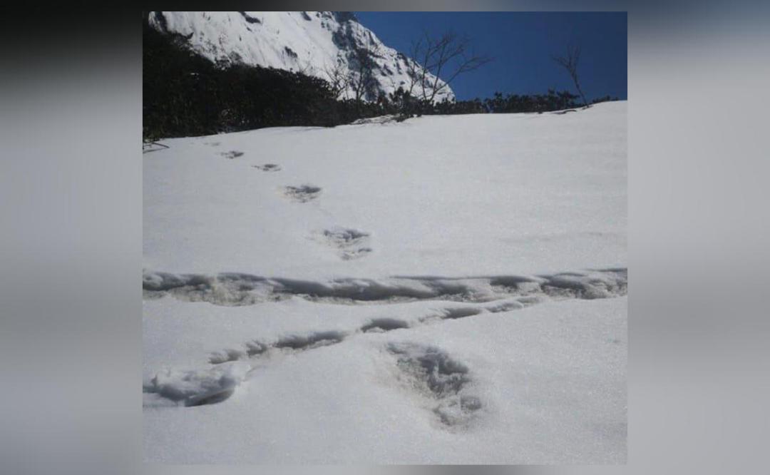 Mythical beast 'Yeti' footprints sighted by team: Army ...