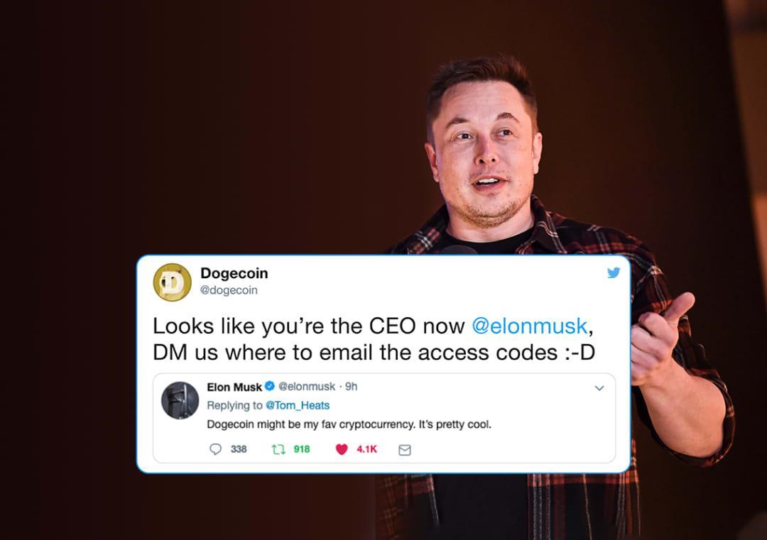 Musk Gets Jokingly Voted As Dogecoin Ceo Replies With Dog Meme