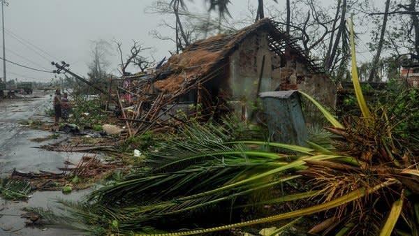 Odisha govt to spend ₹188 cr on plantation post Cyclone Fani | National